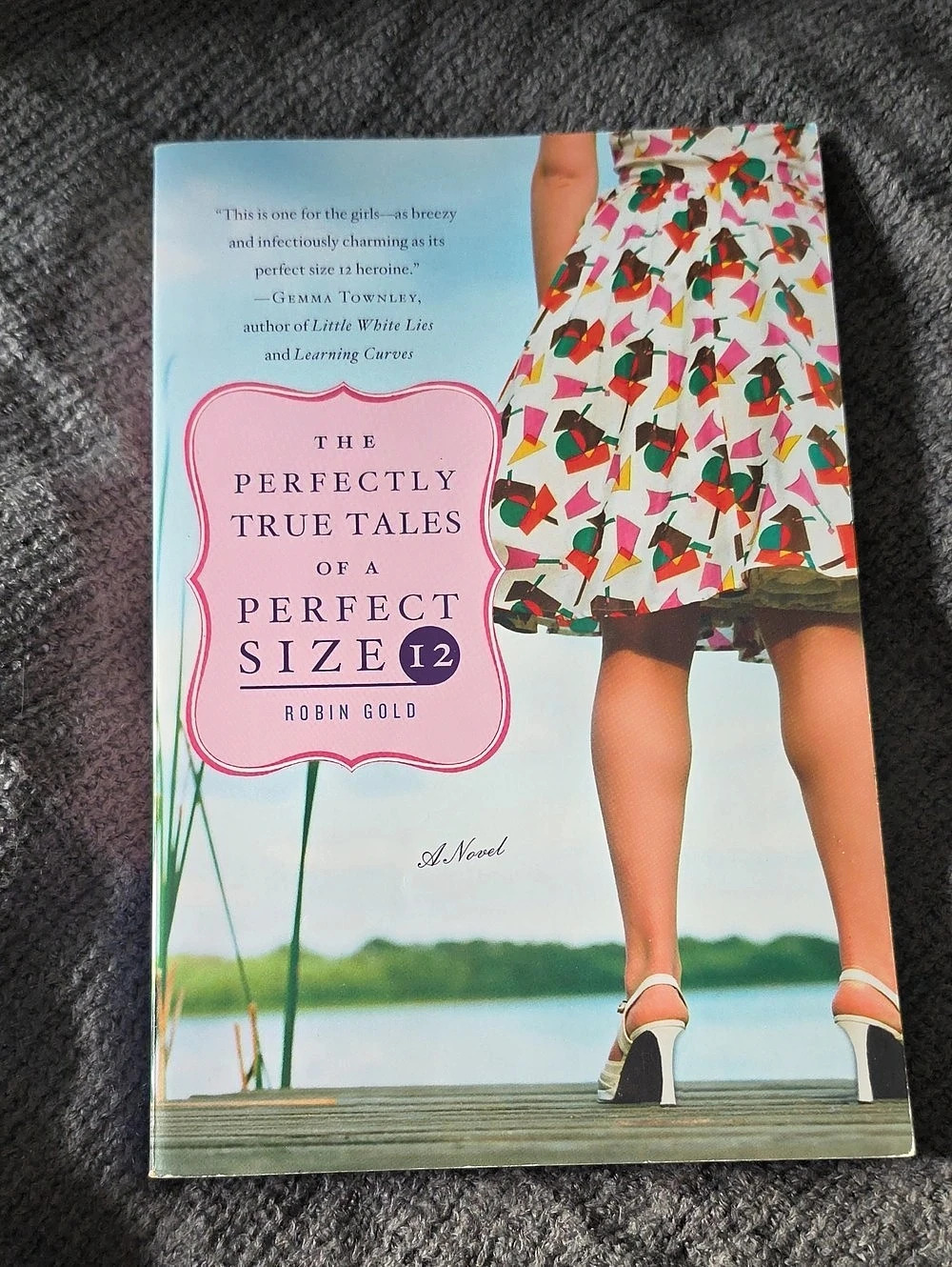 The Perfectly True Tales of a Perfect Size 12 - Robin Gold (Paperback)